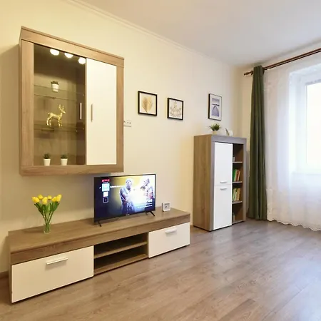 City Apartment Karlovy Vary Esterno foto